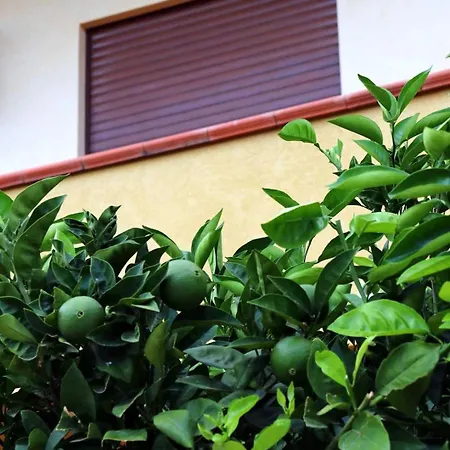 Casa Floriana A Дом отдыха