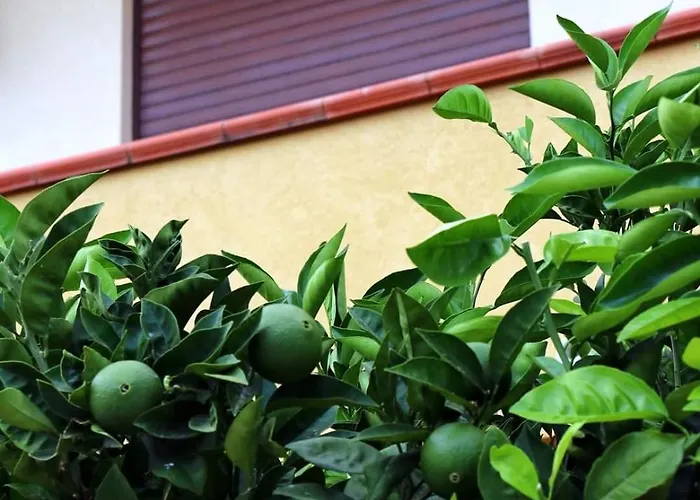 Casa Floriana A Holiday home